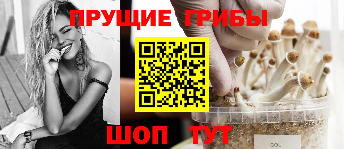 Галлюциногенные грибы Psilocybine cubensis  Галлюциногенные грибы мухоморы  Муравленко  Вход с VPN 