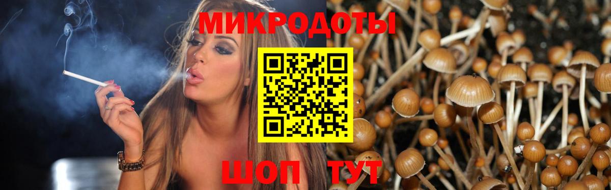Галлюциногенные грибы мицелий Муравленко